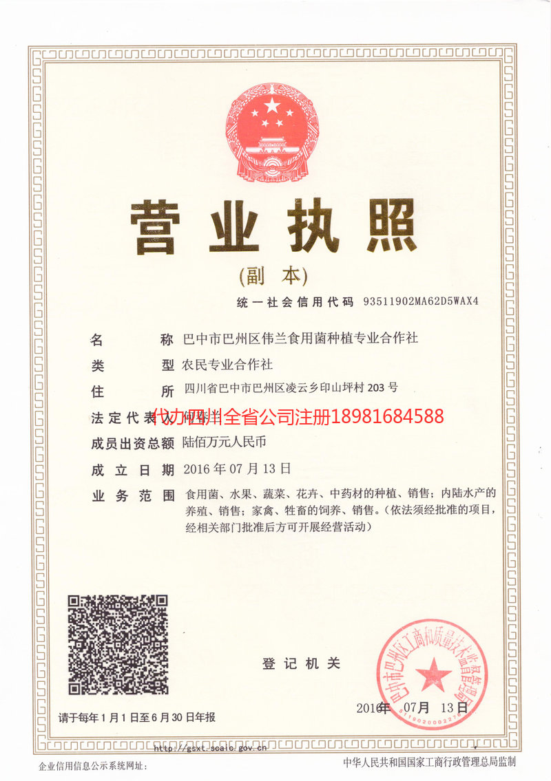 长葛长葛伟兰食用菌种植专业合作社